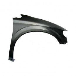 Front Fender, Right, 01-07...