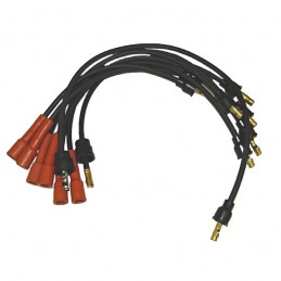 Ignition Wire Set, 4.2L,...