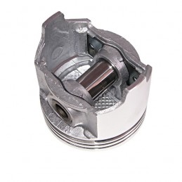 Piston 3.8 4.2L Std 72-78...